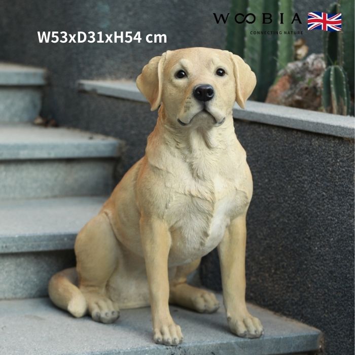 ラブラドール置物 置物 犬 かわいい 動物 玄関 頭を上げるラブラドールレトリバー