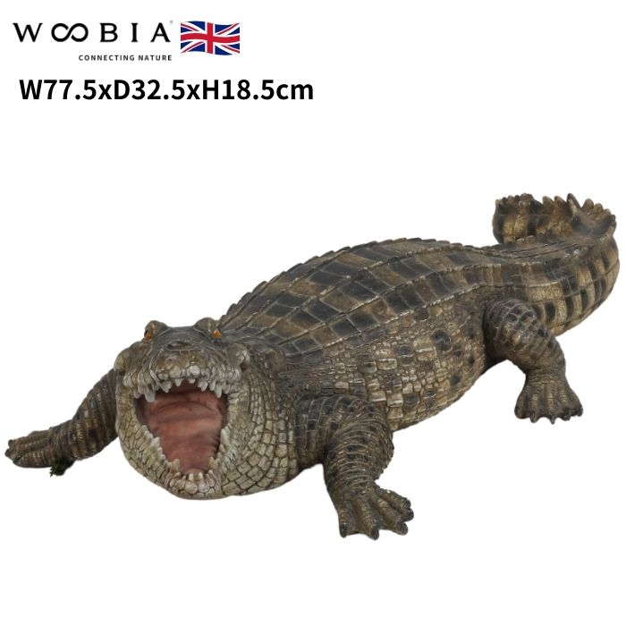 楽天市場】置物 威嚇するワニ 高さ18.5cm woobia ウービア