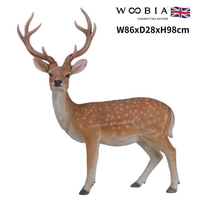 エゾシカの角の置物　値下げしました。 エゾシカの角 [値下げしました]