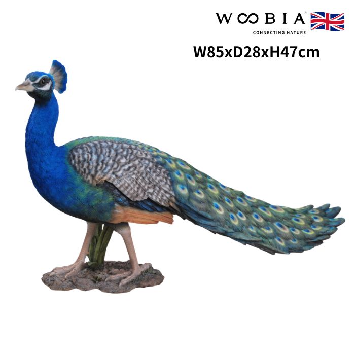楽天市場】孔雀 Peacock 強化プラスチック (FRP) アートオブジェ