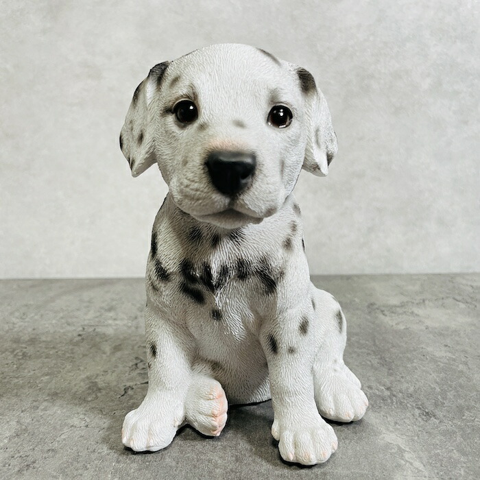 Y★★620 メイヤー ダルメシアン置物 PIT THE MASSIVE DOG 楽天市場】かわいい 犬 置物 お座り ダルメシアン woobia