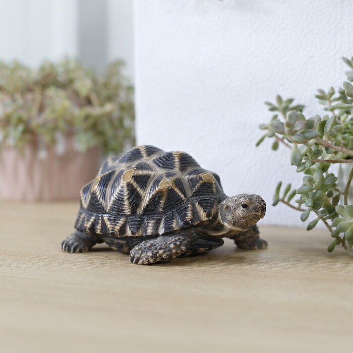 リアルな亀の置物 壁掛けインテリア Amazon.co.jp: LxRx9 カメ 置物 リアルな亀の置物 縁起物 幸運 動物