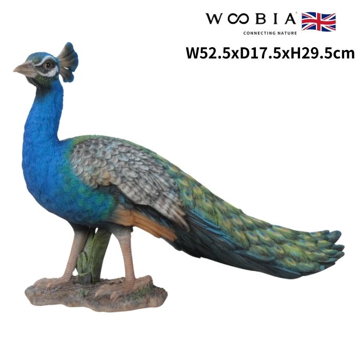 楽天市場】孔雀 Peacock 強化プラスチック (FRP) アートオブジェ