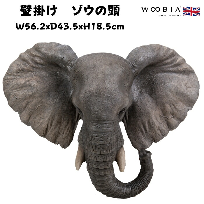 アニマルヘッド壁掛け ゾウ 象グッズ woobia ウービア かわいい おしゃれ ガーデン インテリア オブジェ 可愛い プレゼント 北欧 玄関 雑貨 動物 モダン 面白い ギフト 家 リアル 玄関先 面白い
