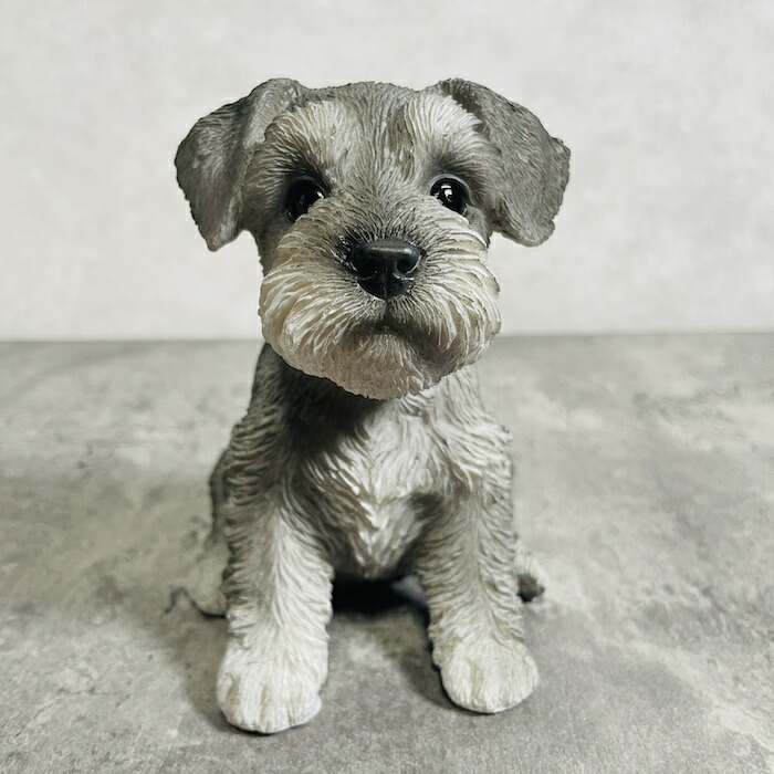 アウトレット品　箱なし　シュナウザー　オブジェ　置き物　ペットショップ　看板犬 アウトレット品箱なしシュナウザーオブジェ置き物ペットショップ