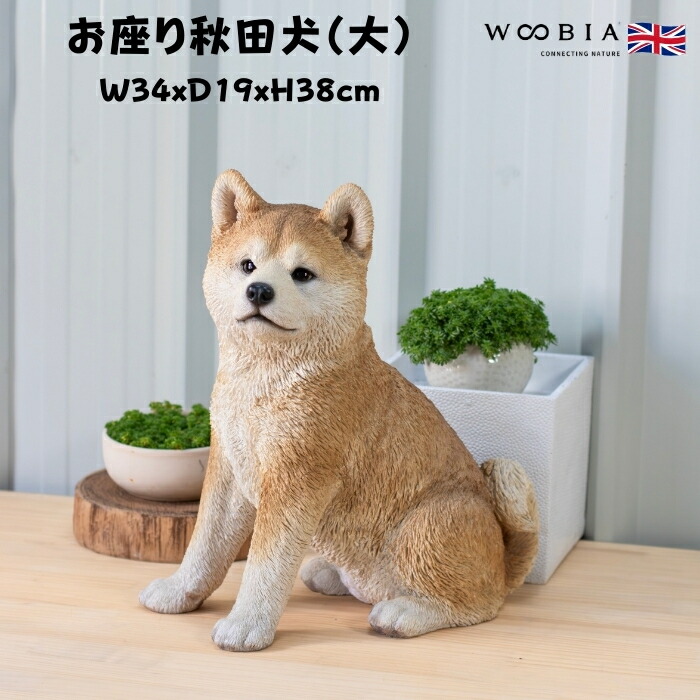 楽天市場】犬 置物 大きい お座り秋田犬 大 高さ38cm woobia ウービア