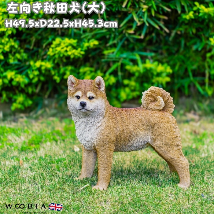 楽天市場】犬 置物 大きい 左向き秋田犬 大 グッズ 高さ45.3cm woobia