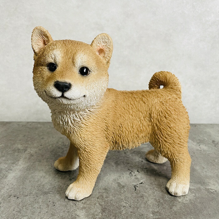 楽天市場】かわいい 犬の置物 高さ18cm 横向き柴犬 グッズ