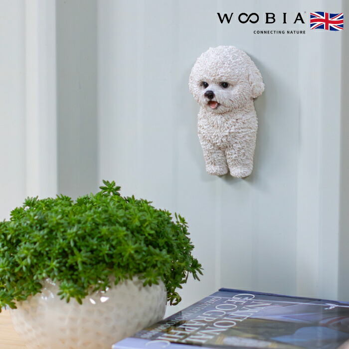 楽天市場】犬 置物 小さい かわいい ビションフリーゼのマグネット