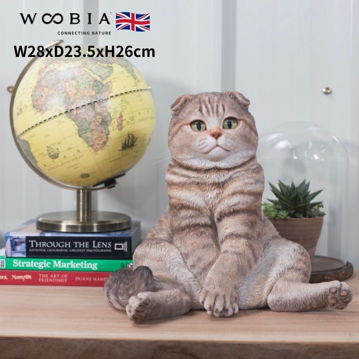 楽天市場】置物 スコ座り スコティッシュフォールドたれ耳 猫