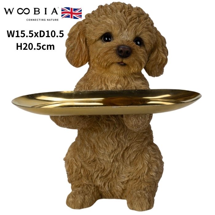 数量限定品‼️超レアパネル　トイプードル　大吉おみくじ　両面　ハンドメイド 価格の安い【NEW】10/20撮影！犬MIX✨（マルチーズ×トイプードル