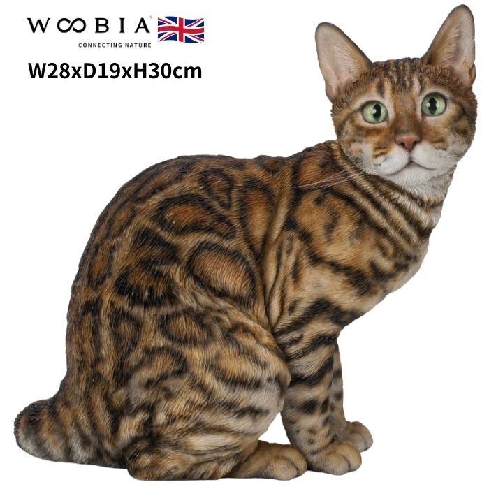 「丸まって眠っている猫」 【フレームサイズ 32×26cm 】 Amazon.co.jp: 猫ハンモック 吸盤付き猫ベッド 透明スペース