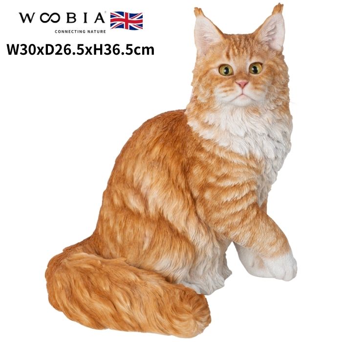 楽天市場】置物 メインクーン ネコ 猫 高さ36.5cm woobia