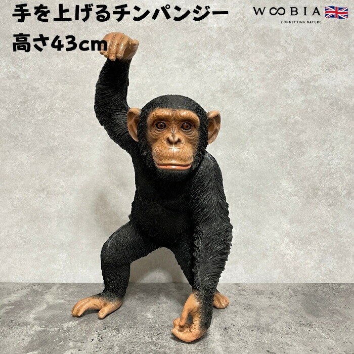 楽天市場】チンパンジー 猿 オブジェ オーナメント ガーデン