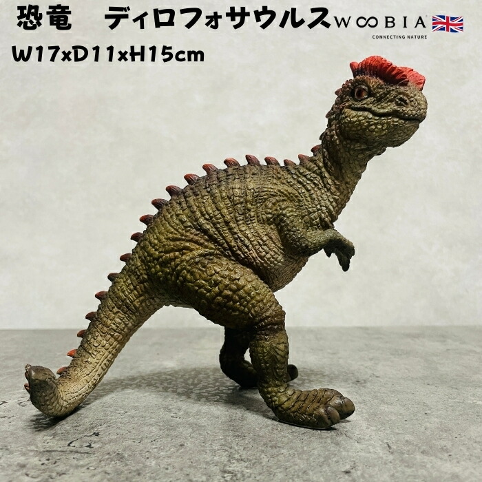 楽天市場】置物 恐竜 ディロフォサウルス woobia ウービア