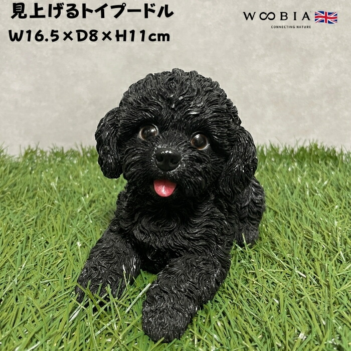 楽天市場】置物 白いトイプードルの小物置き トレーの取り外し可能