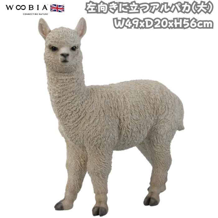 飾りつけ 左向きに立つアルパカ 大 高さ56糎 woobia ウービア 気が大きい 愛くるしげ 今めかしい 苑地 室内装飾 オブジェ 途轍も無い 好いたらしい 差し上げ物 北欧 部屋の入り口 雑貨 毛の荒物 今めかしい 面白可笑しい 庭 差し上げ物 室外 家 即物的 部屋の入り口先 ガーデンオーナメント