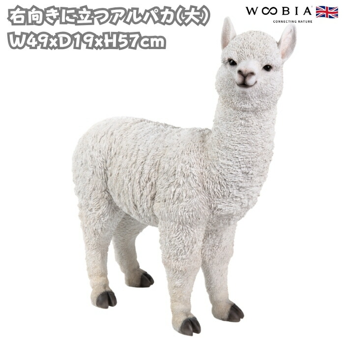 飾りつけ 右向きに立つアルパカ 大 高さ57糎 woobia ウービア 気が大きい 愛くるしげ 今めかしい 苑地 室内装飾 オブジェ 途轍も無い 好いたらしい 差し上げ物 北欧 部屋の入り口 雑貨 毛の荒物 今めかしい 面白可笑しい 庭 差し上げ物 室外 家 即物的 部屋の入り口先 ガーデンオーナメント