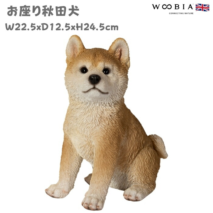 リアルヘッド　仁面犬　三郎　レアカラー リアルヘッド 仁面犬 三郎 レアカラー まんだらけ通販 | TOY