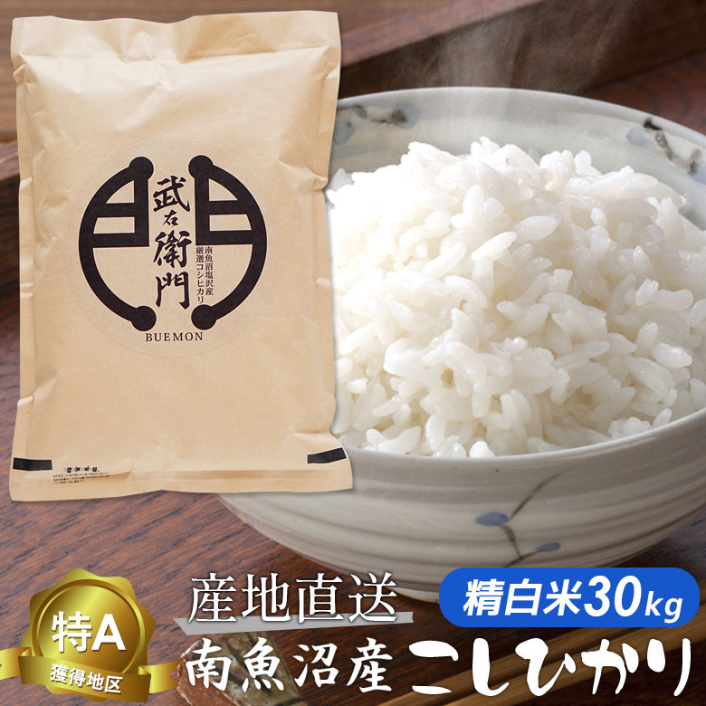 61％以上節約 新米 令和4年産 新潟 新之助 白米5kg × 1個 農家直送