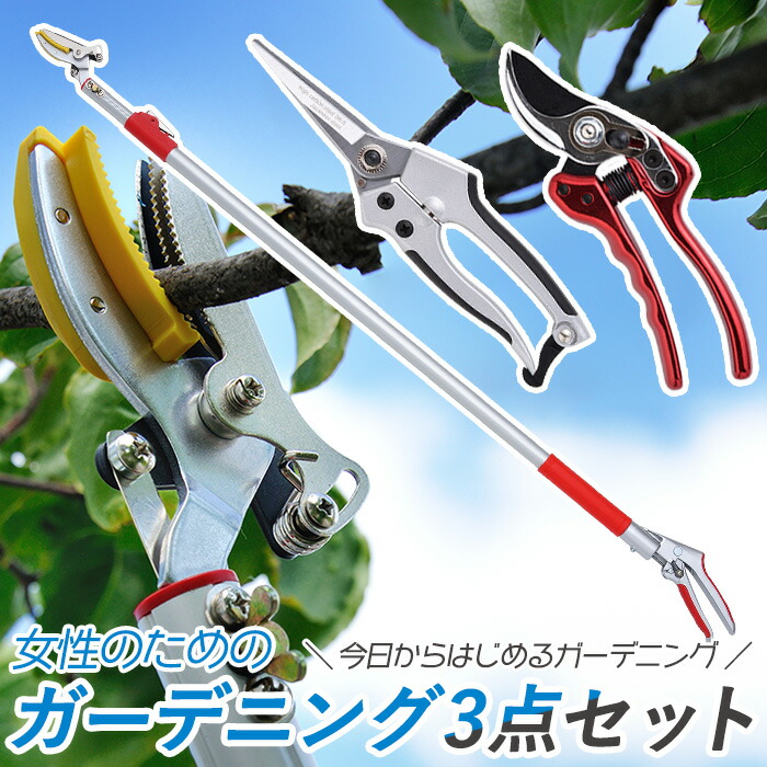 楽天市場】レディース園芸3点セット(3段階伸縮式高枝切鋏＆ショート
