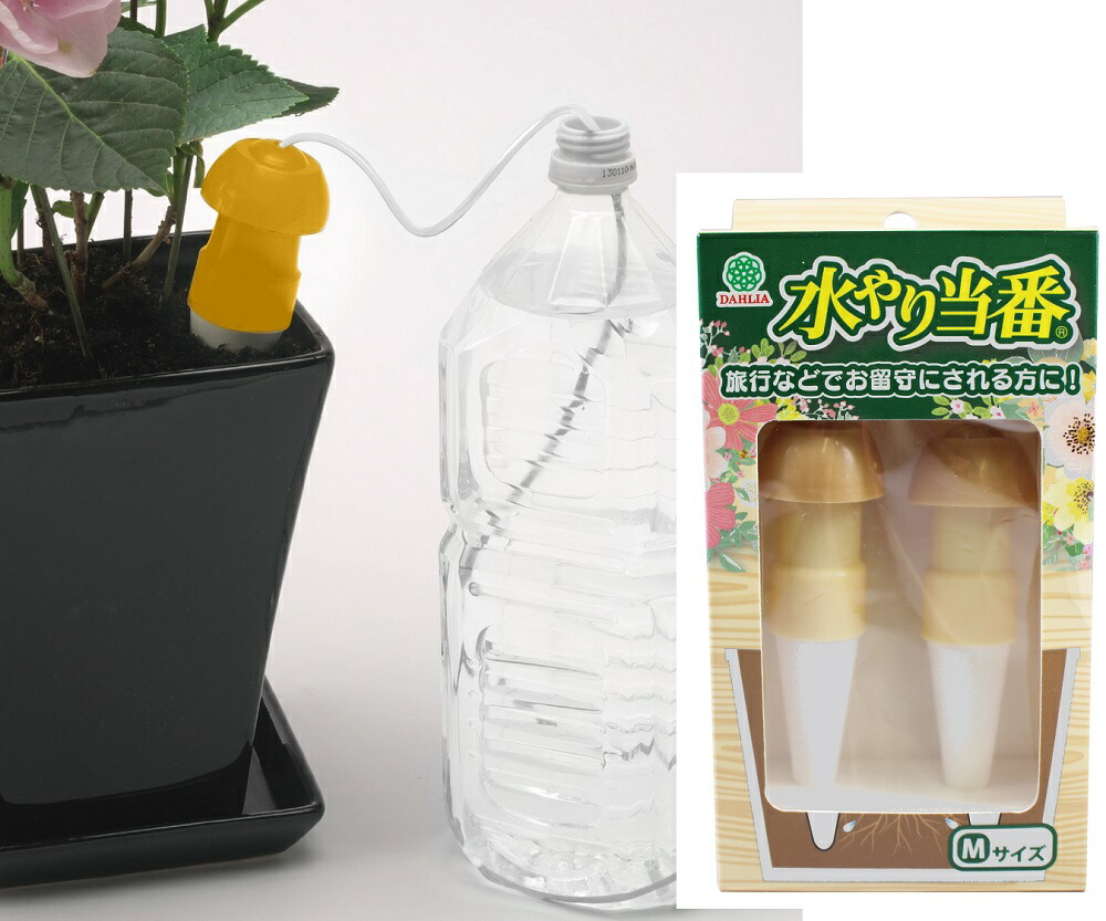 楽天市場】（Lサイズ6箱セット販売）水やり当番Lサイズx6個セット