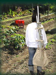 楽天市場 金象印マイフィット土農具収納肩掛けバッグ ガーデニングどっとコム