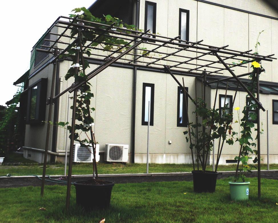 楽天市場】セキスイ フルーツパーゴラ DX タイプ 積水樹脂［藤棚