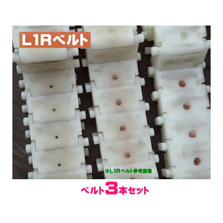 ご ん べ え l1r ベルト ストア