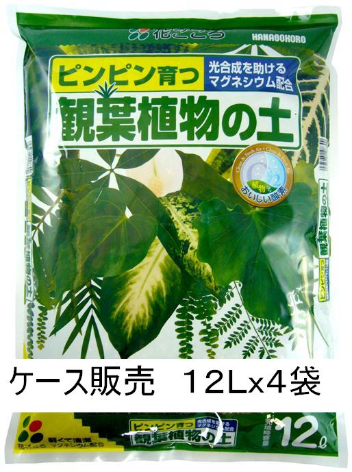 楽天市場 植物別専用土 観葉植物の土 サンセベリアの土 ガーデニングどっとコム