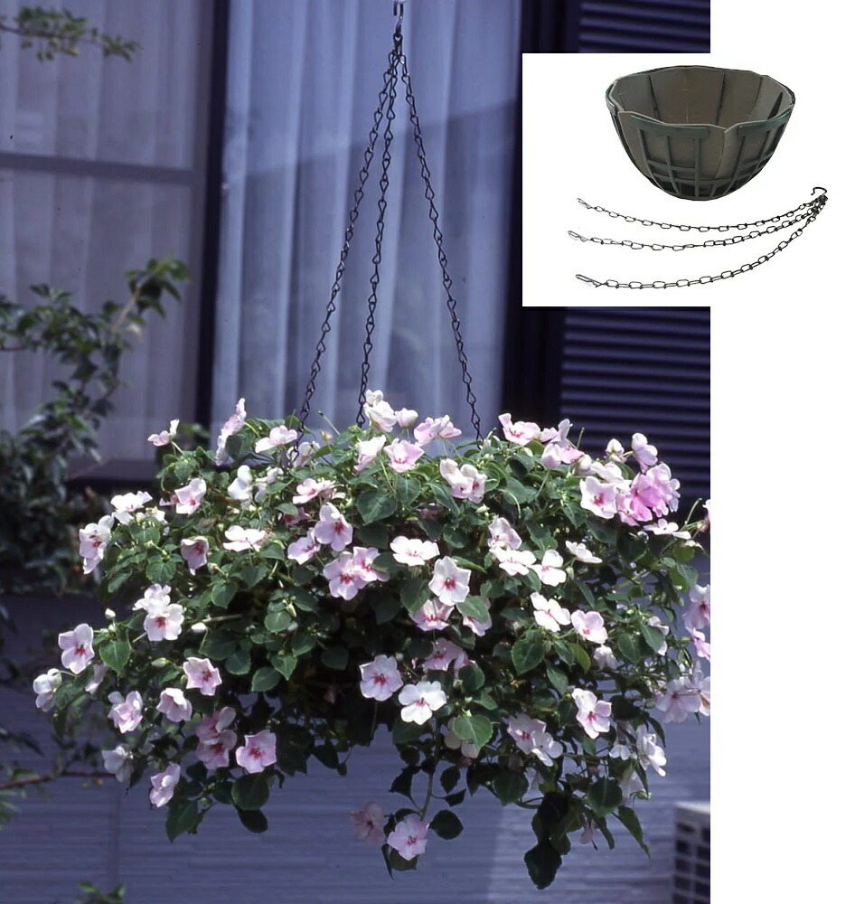 楽天市場】伊藤商事 プチバスケット WB-25 ～ハンギングバスケット