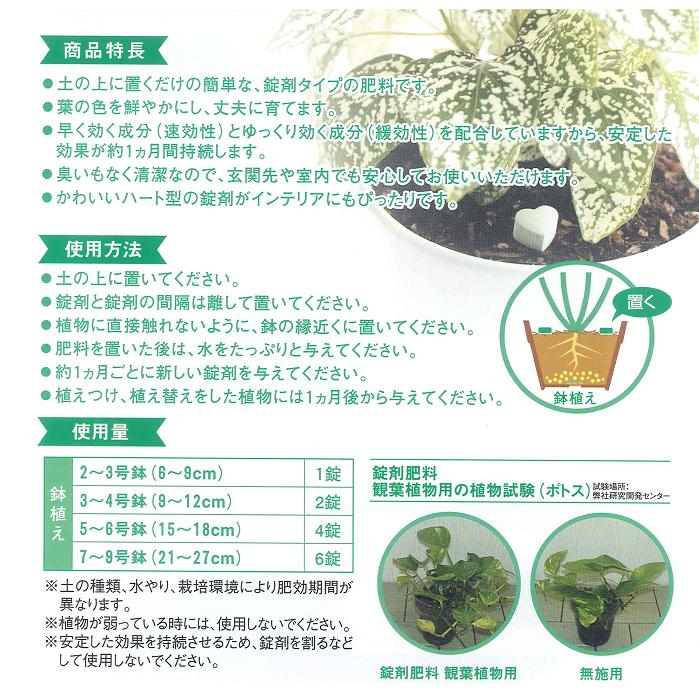 楽天市場 ハイポネックス錠剤肥料 観葉植物用約70ｇ入り ガーデニングどっとコム