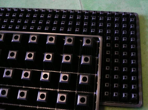 タキイ 根巻防止セルトレー２８８穴　１００枚 ～育苗 種まき セルトレイ