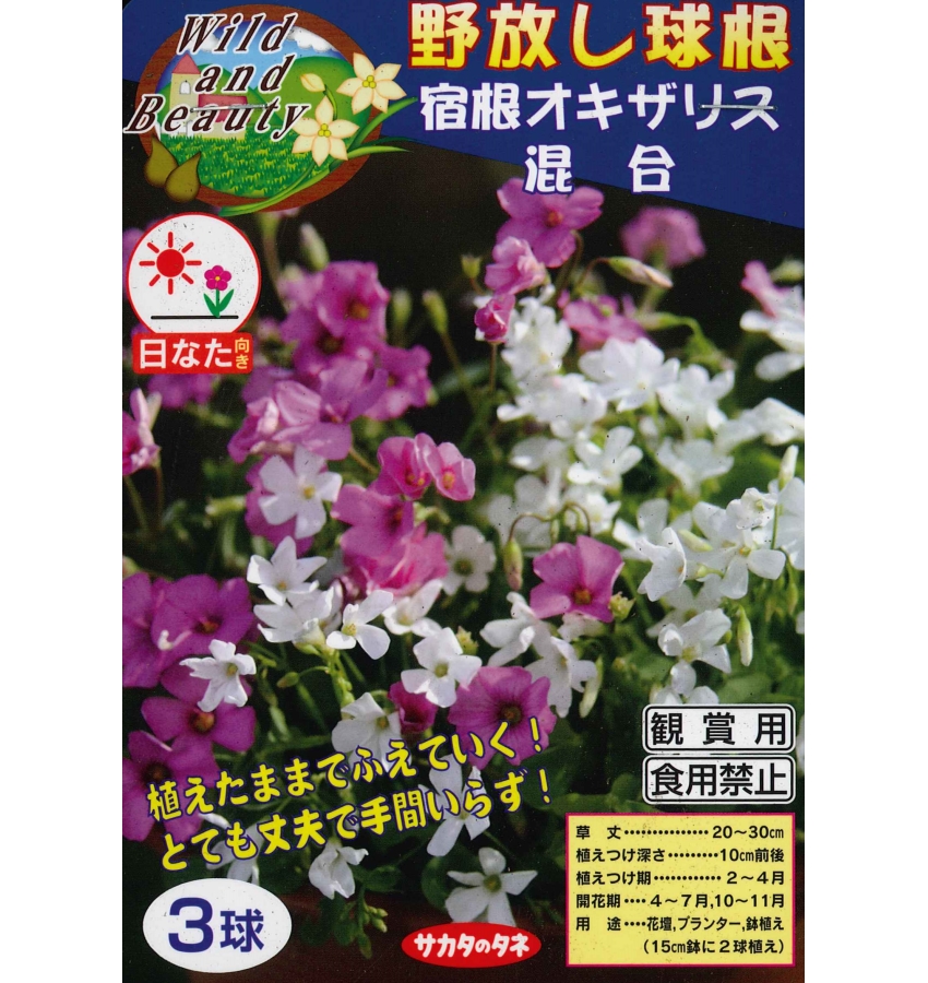 楽天市場 春植え球根 野放し球根 宿根オキザリス混合 3球入 ガーデニングどっとコム