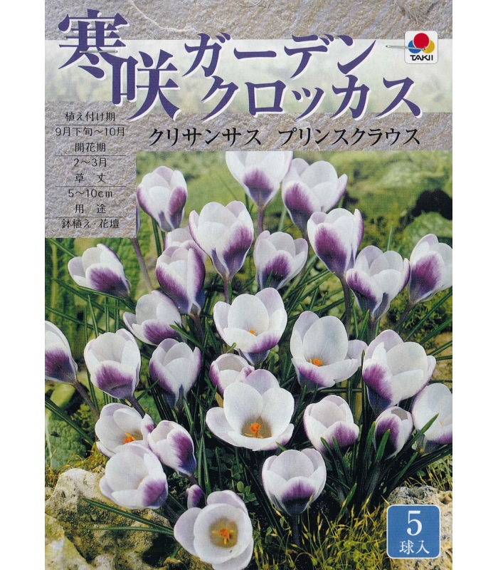 楽天市場 秋植え球根 寒咲ガーデンクロッカス クリサンサス プリンスクラウス ５球入 ガーデニングどっとコム