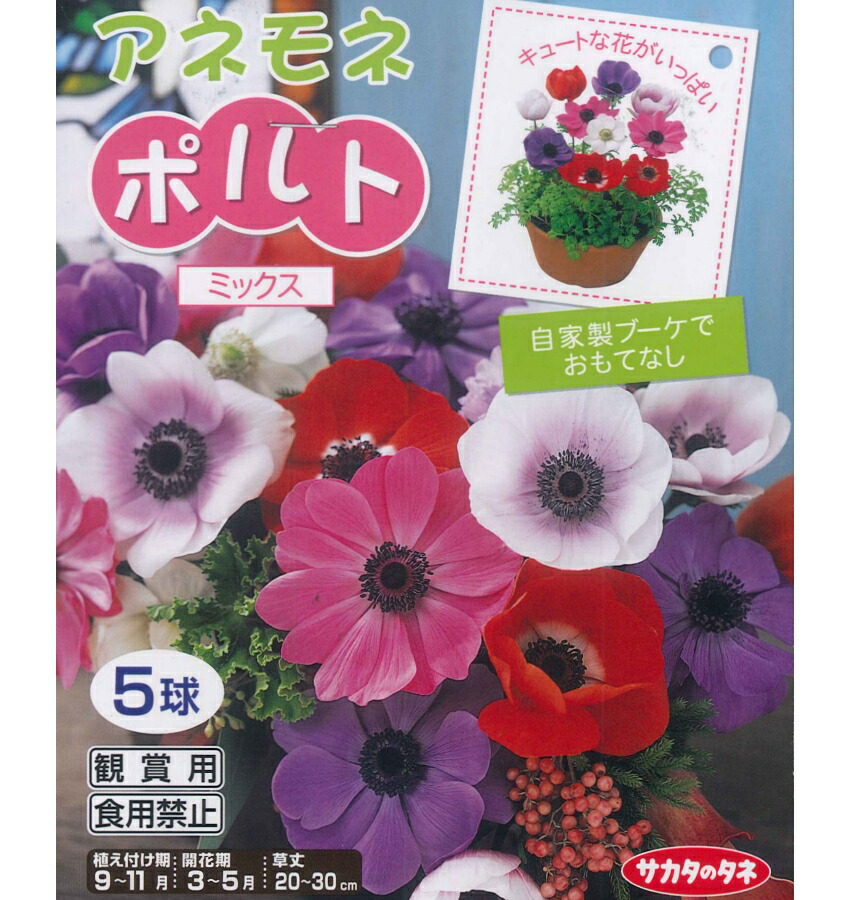 楽天市場 秋植え球根 アネモネポルト ５球入り ガーデニングどっとコム