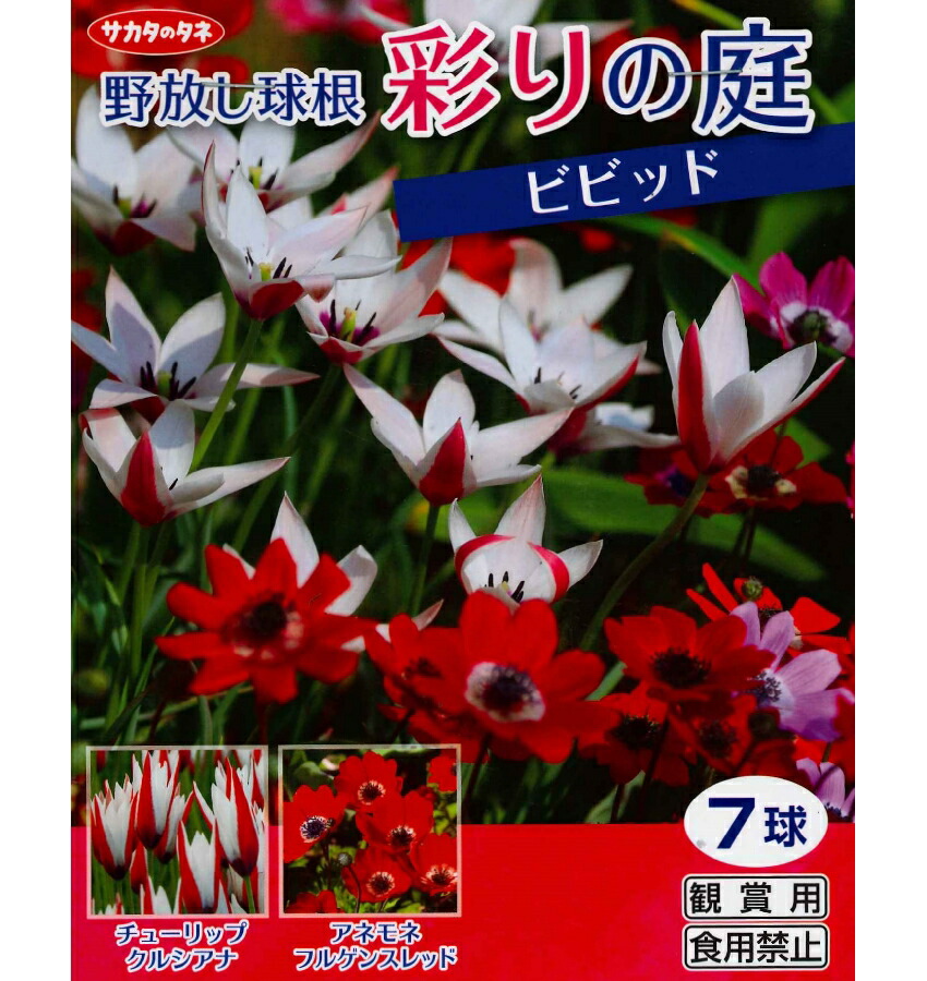 楽天市場 秋植え球根 野放し球根 彩りの庭 ビビットカラー7球入 ガーデニングどっとコム