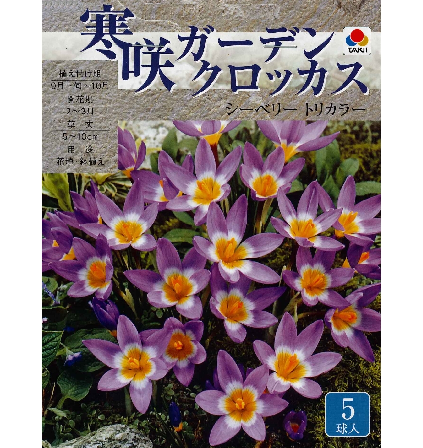 楽天市場 秋植え球根 寒咲ガーデンクロッカス シーベリー トリカラー ５球入 ガーデニングどっとコム