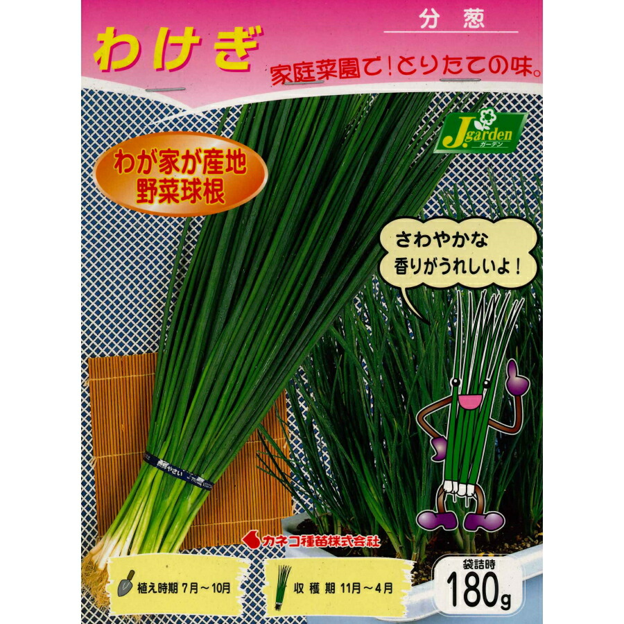 楽天市場】【送料無料】あさつき 種球根 ネット詰め野菜球根 楽天市場】【送料無料】あさつき 種球根 ネット詰め野菜球根