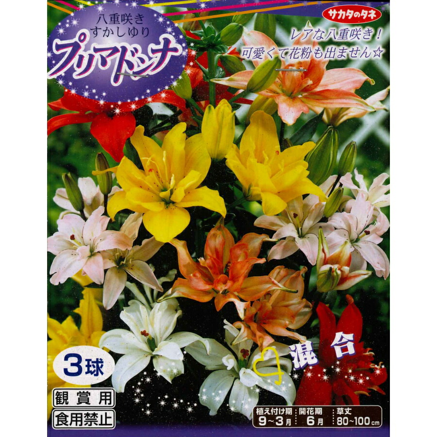 楽天市場】花ごころ 球根の肥料400g : ガーデニングどっとコム