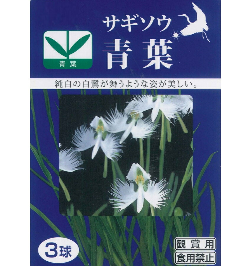 楽天市場 春植え球根 サギソウ 青葉 ３球入り鷺草 さぎ草 サギ草 ガーデニングどっとコム