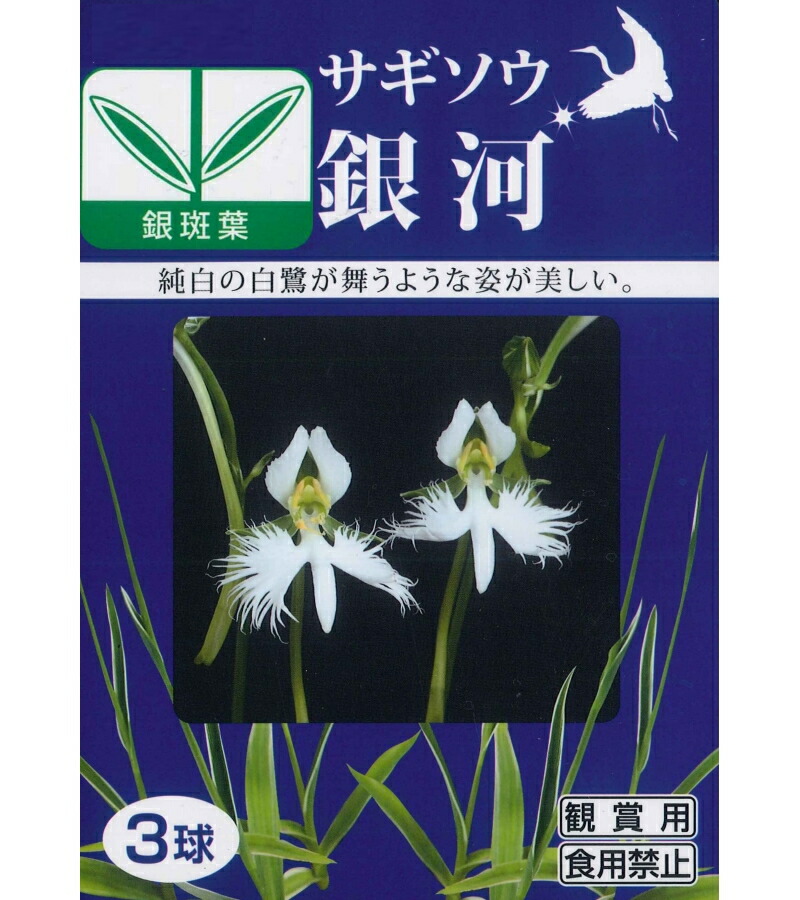 楽天市場 春植え球根 サギソウ 銀河 ３球入り鷺草 さぎ草 サギ草 ガーデニングどっとコム