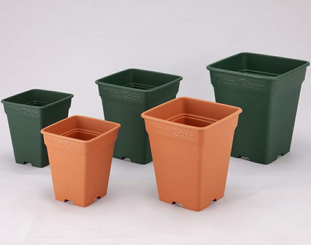 楽天市場】ロゼアスクエア 330型 〜 薔薇 バラ鉢 ローズポット 四角 深