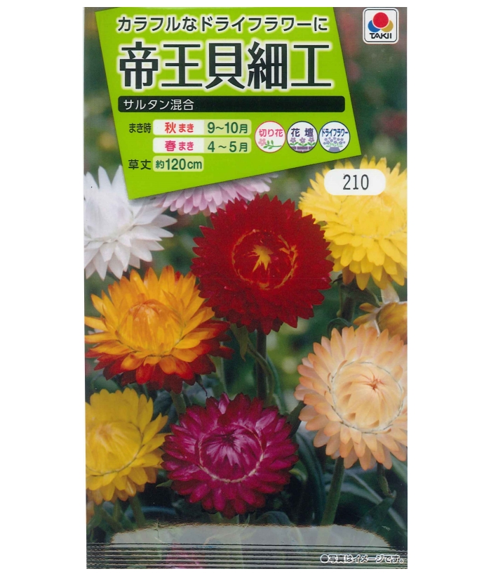 楽天市場 タキイ 帝王貝細工 サルタン混合 0 6ml 花種 ヘリクリサム ガーデニングどっとコム