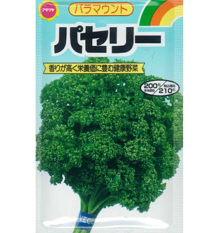 在庫限り】 野菜の種 種子 矮性赤花絹莢 きぬさやえんどう 20ml メール便発送 タキイ種苗 assessoriarealizze.com.br