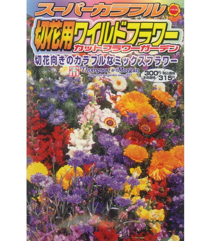 楽天市場 アタリヤ 切り花用 ワイルドフラワー カットフラワーガーデン 2ml 花種 ガーデニングどっとコム