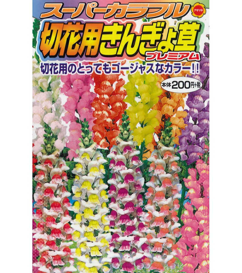 楽天市場 アタリヤ スーパーカラフル 切り花用きんぎょ草 プレミアム 金魚草 0 02ml 花種 キンギョソウ ガーデニングどっとコム