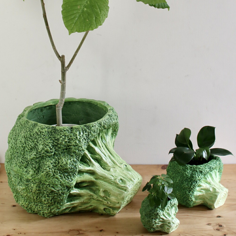 楽天市場】ストロベリーポットL 素焼き（テラコッタ）大鉢 : 千草園芸