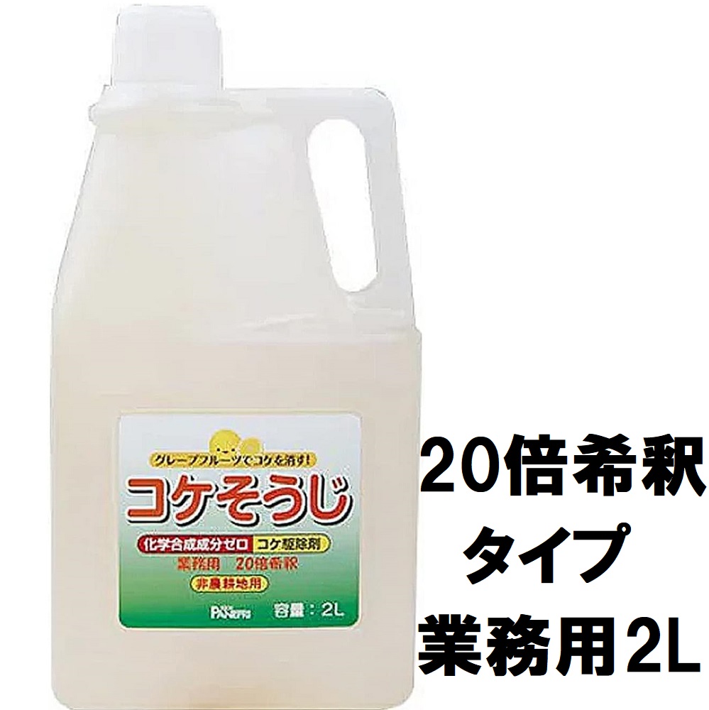 パネフリ工業　コケそうじ濃縮液業務用　2Ｌボトル（高濃度20倍希釈タイプ）～イシクラゲ対策 コケ除草剤 こけ退治 苔駆除 9,614円
