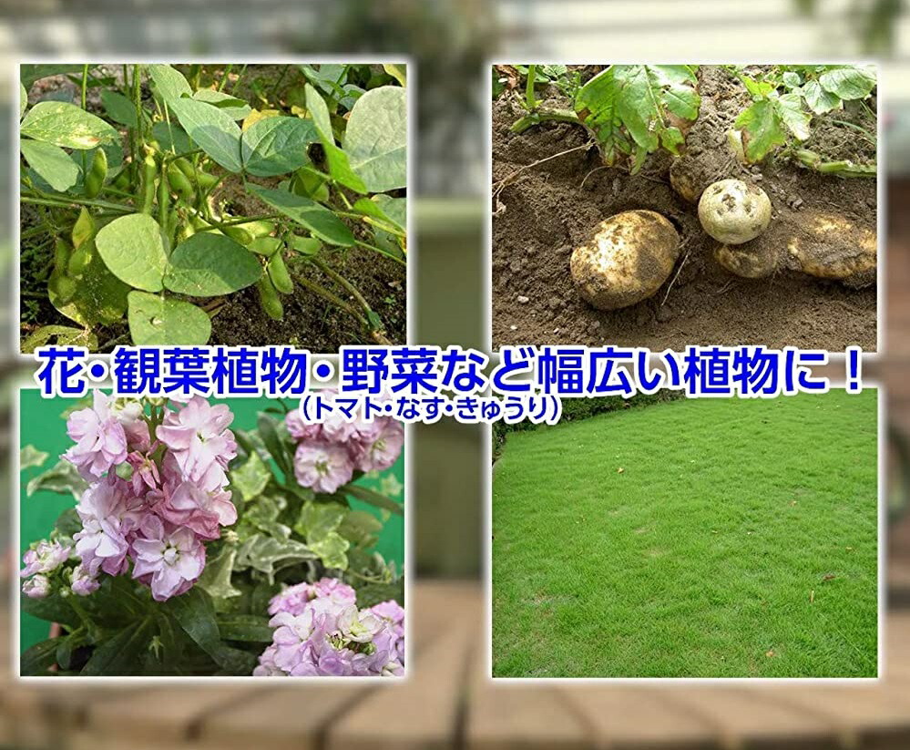 超歓迎 住友化学園芸 ＧＦオルトラン粒剤 徳用 １ｋｇ 袋入り アオムシ コナジラミ カイガラムシ アブラムシ 殺虫剤 